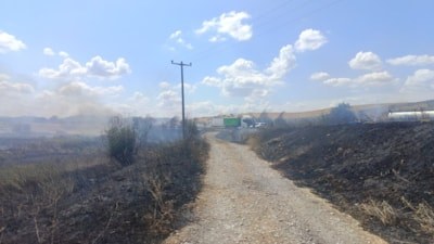 Balıkesir'de korkutan yangın