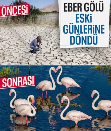 Afyonkarahisar'daki Eber Gölü'nde kuraklığın izleri siliniyor: Doğal hayata can suyu