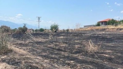 Manisa Sarıgöl'de yangın uyarısı