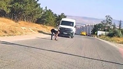 Eskişehir'de duyarlı sürücü, trafiği durdurup kaplumbağayı ölümden kurtardı
