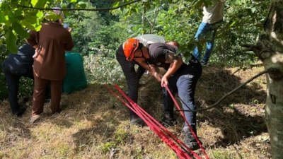 Trabzon'da yamaçtan yuvarlanan inek kurtarıldı