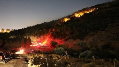 İzmir'de orman yangını