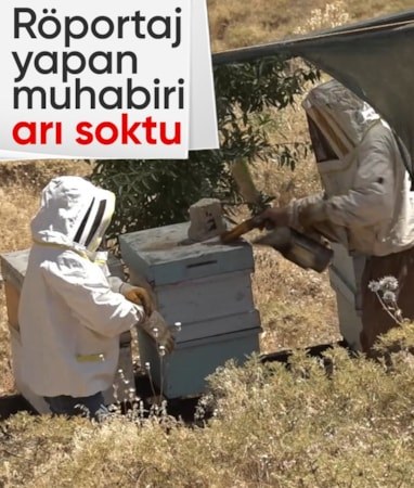 Elazığ'da kovanların başında röportaj yapan gazeteciyi arı soktu
