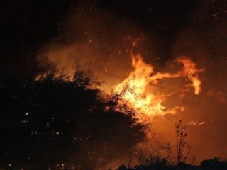 Şiddetli rüzgar orman yangınlarını harlıyor: Saatte 70 kilometreye ulaşacak