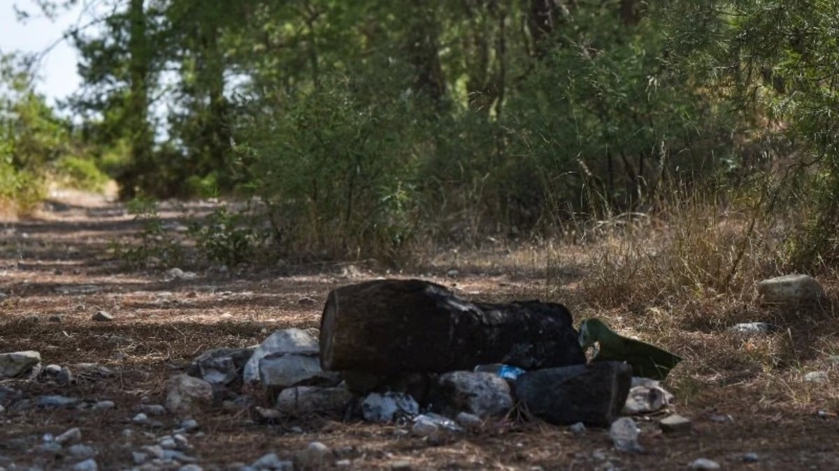 Antalya'da ormanlık alanda yasağa rağmen mangal yapıldı