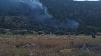 Gaziantep'te çıkan orman yangını söndürüldü