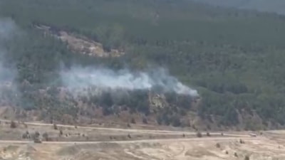 Bursa'da orman yangını başladı