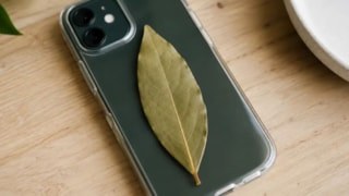 Telefon kılıfında defne yaprağı saklayanlar artıyor: İşte sebebi