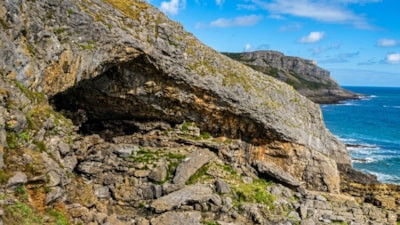 Pas lekesi sandılar, 17 bin yıllık eser çıktı: Bilim dünyası şokta