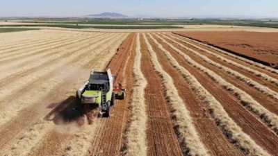 Mühendisliği bırakıp köyüne döndü: Şimdi ayda 85 bin lira ek gelir elde ediyor