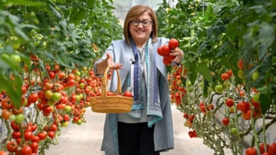 Gaziantep Büyükşehir Belediyesi'nden tarımda çevreci üretim modeli
