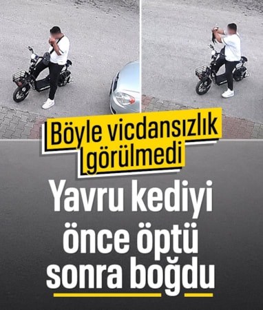 Bolu'da yavru kediyi öptükten sonra boğdu