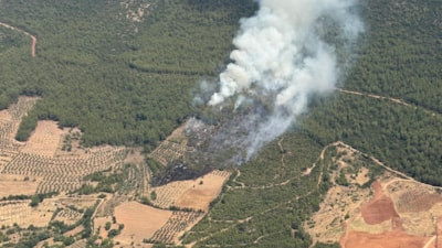 Muğla'da zirai alanda başlayan yangın ormana sıçradı