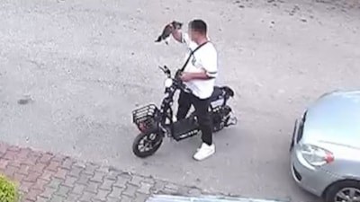 Bolu'da yavru kediyi boğarak öldüren 15 yaşındaki şüpheli gözaltına alındı