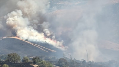 Malatya'da orman yangını başladı