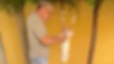 İstanbul'da sokak ortasında tavşan kesip derisini yüzdü