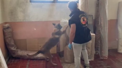 Kastamonu merkezli uyuşturucu operasyonu: 19 adrese baskın düzenlendi, 15 şüpheli yakalandı