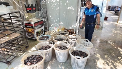 Mersin'de 200 kilogram bozulmuş midye dolması ele geçirildi