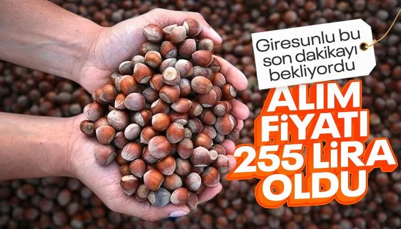 TMO fındık alım fiyatlarını açıkladı