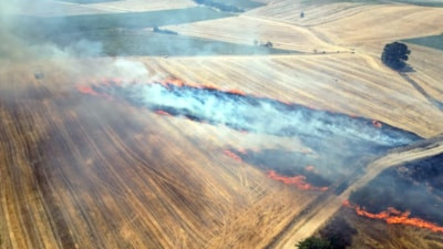 Edirne'de akıma kapılan kuş anız yangınına neden oldu: Bin 500 dekar alan zarar gördü