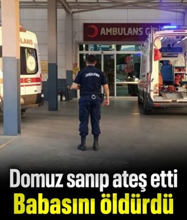 Aydın'da domuz sanıp ateş eden şahıs babasını öldürdü