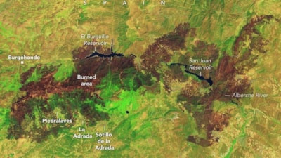 İspanya'daki orman yangınlarında New York büyüklüğünde alan küle döndü