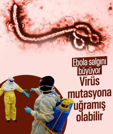 Ebola salgını büyüyor: Virüs mutasyona uğramış olabilir