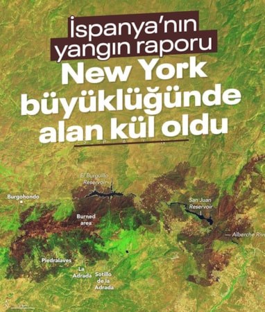 İspanya'daki orman yangınlarında New York büyüklüğünde alan küle döndü