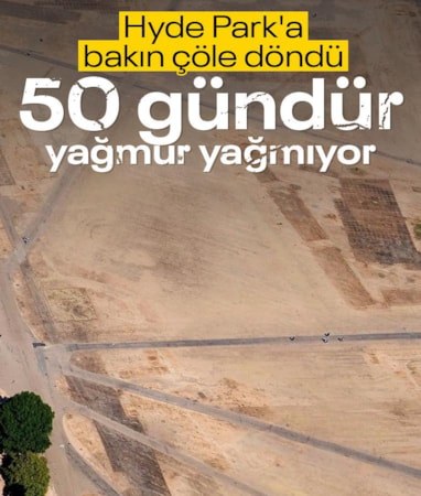 İngiltere'de yeşil parklar hızla kurumaya başladı