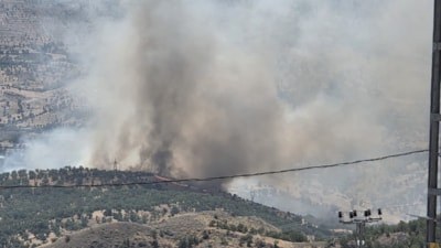 Adıyaman'da orman yangını