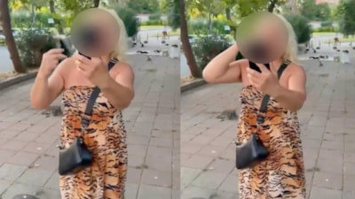 İstanbul'da kedi maması tartışması: Yolu kapatan kadın gözaltında