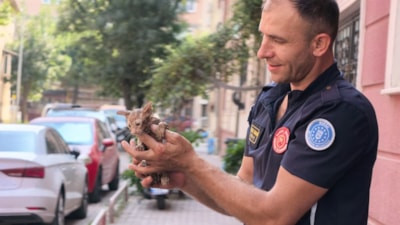 Bursa'da gider borusunda sıkışan yavru kedi kurtarıldı
