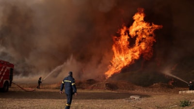 Yunanistan'da orman yangınlarında 111 bin 732 dönüm kül oldu