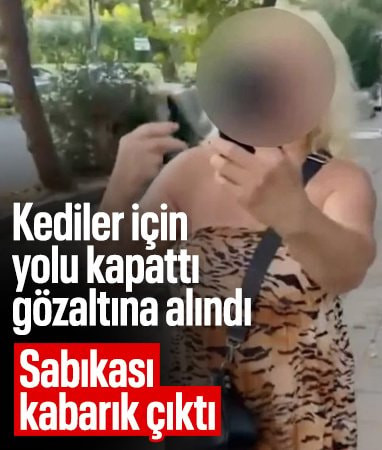 İstanbul'da kedi maması tartışması: Yolu kapatan kadın gözaltında