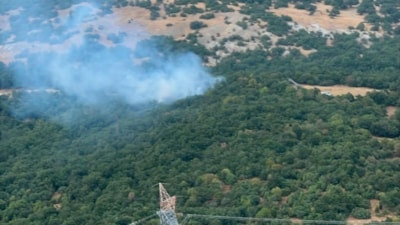 Kütahya'da erken müdahale ormanı kurtardı