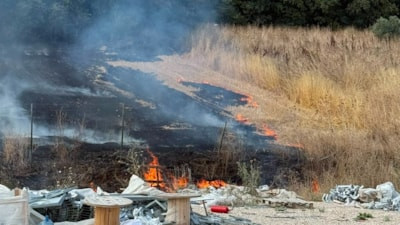 Bursa'da korkutan anız yangını