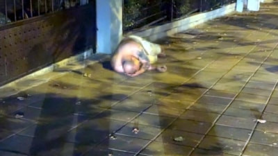 Tekirdağ'da alkollü sürücü, arızalanan otomobilini bırakıp kaldırımda uyudu