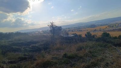 Bolu’da çıkan anız yangını ağaçlık alana sıçramadan kontrol altına alındı