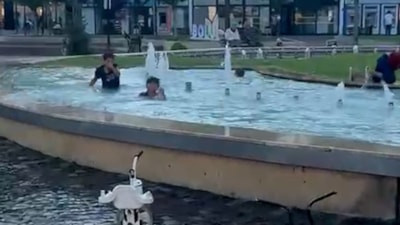 Bolu'da elektrik akımına aldırış etmeden süs havuzunda yüzdüler