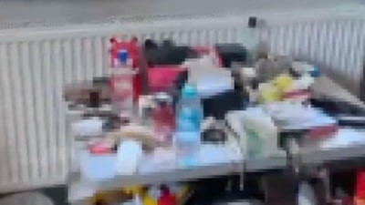 İstanbul'daki uyuşturucu operasyonunda 117 kök Hint keneviri ele geçirildi