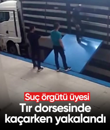İstanbul'da suç örgütü üyesi tırın gizli bölmesinde yakalandı