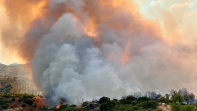 Manisa'da orman yangını