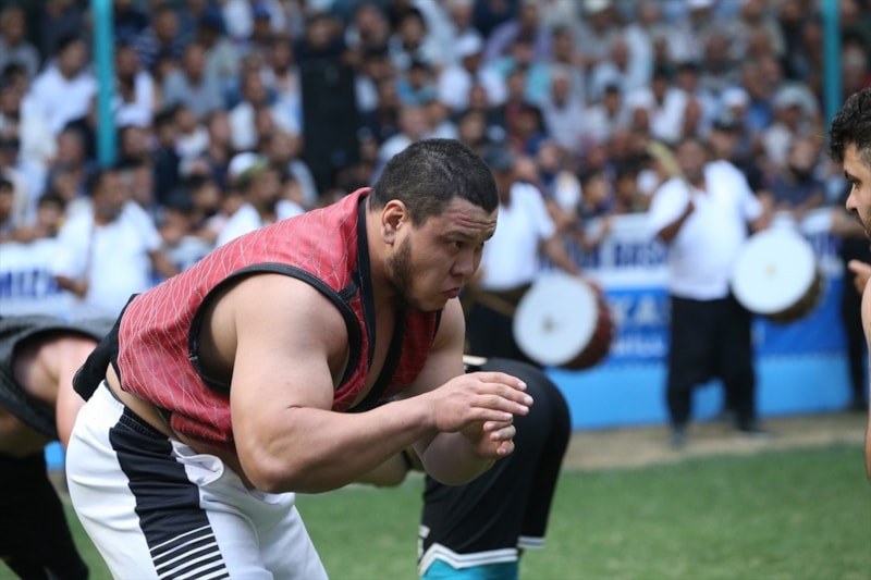 Yayladağı’da Aba Güreşi ve Kültür Festivali: Gelenekler ve Uluslararası Birliktelik
