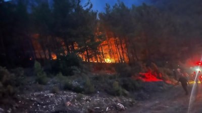 Alanya'da ormanlık alanda çıkan yangın kontrol altına alındı