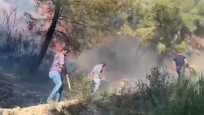 Hatay'da orman yangını başladı