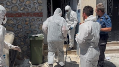 Bursa'da mahalleyi pireler bastı: Pirelerin kaynağı boş binadan 15 tavuk, 1 kedi, 1 köpek, 1 ölü köpek çıktı