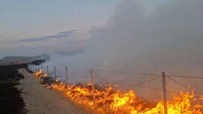 Ankara'da çıkardığı yangın 250 dönümlük alanı yaktı: Tutuklandı