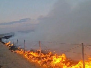 Ankara'da çıkardığı yangın 250 dönümlük alanı yaktı: Tutuklandı