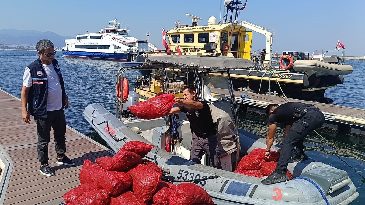 İzmir'de yasadışı avlanan canlı midyeler denize iade edildi