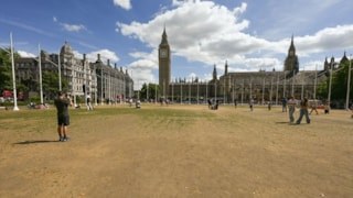 Londra'nın simge yeşil alanları kuraklığın etkisiyle sarardı